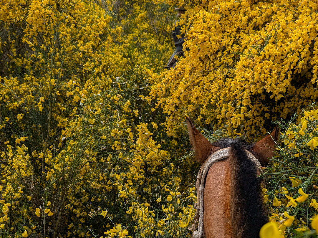 Rancho Carhuello-普孔必去景点