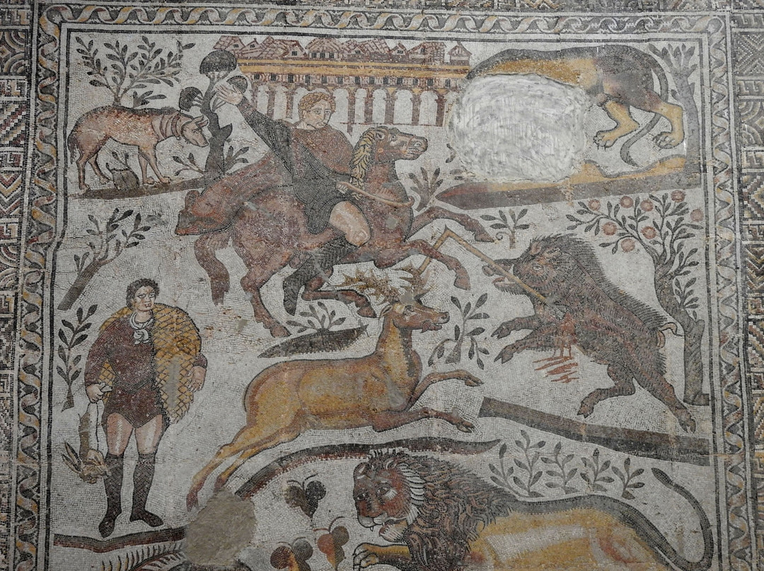 Djemila Museum景点图片