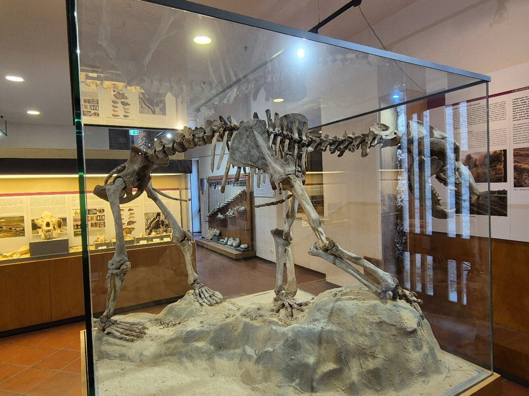 Museo Speleo Paleontologico e Archeologico-Genga必去景点