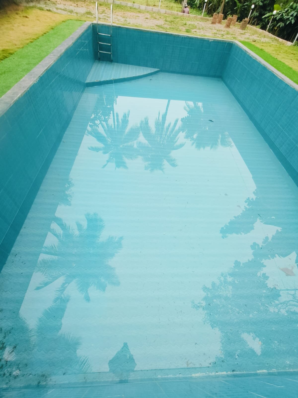 Wild Camp Resort-泳池