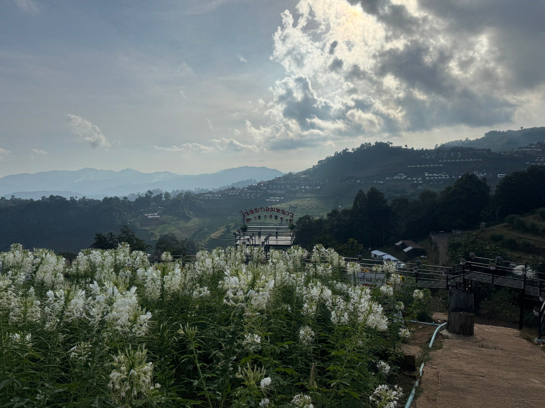 I Love Flower Farm景点图片