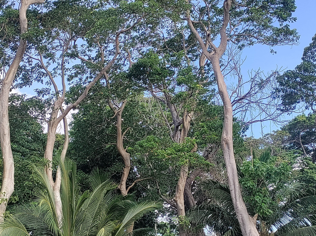 Tango Beach Resort主图