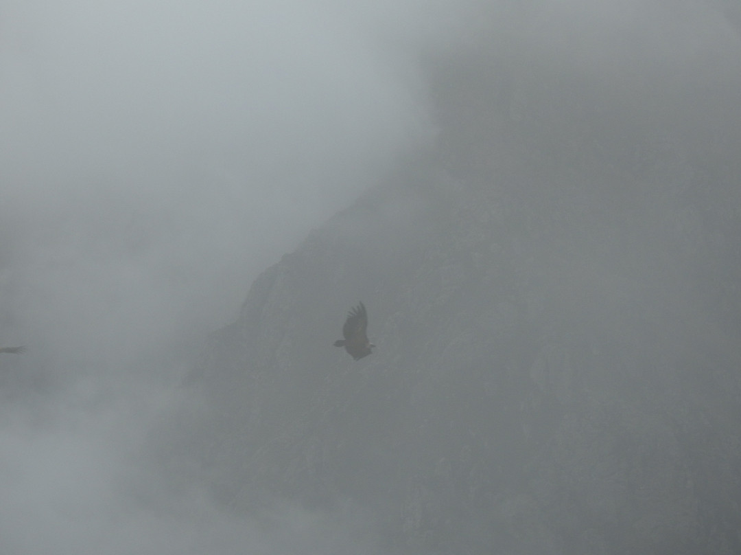 Natura Somiedo景点图片