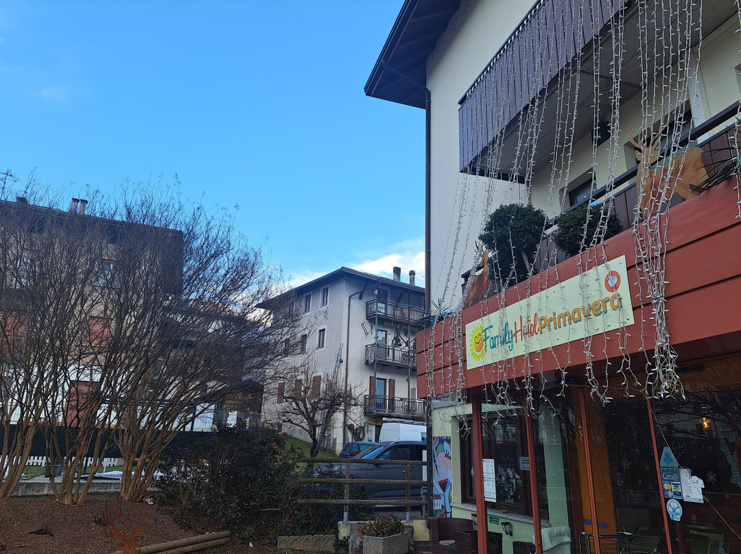 Family Hotel Primavera主图
