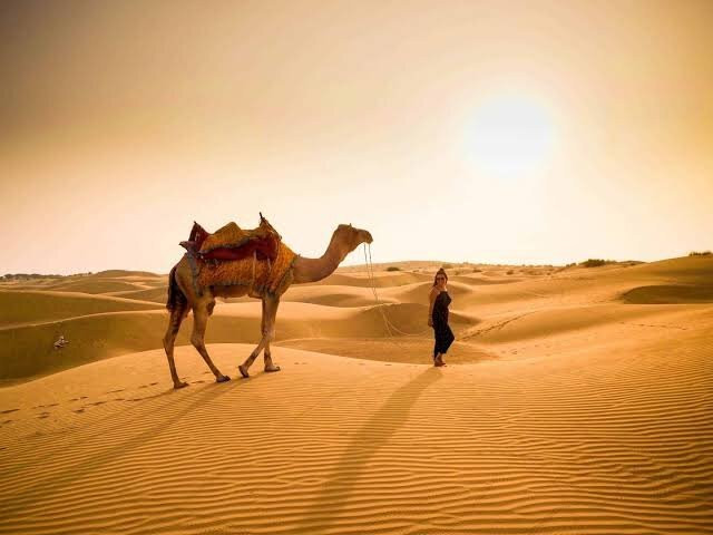 Incredible Camel Safari-杰伊瑟尔梅尔必去景点