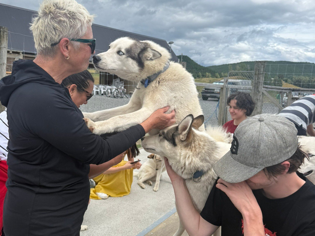 Timberline Racing Siberian Huskies景点图片