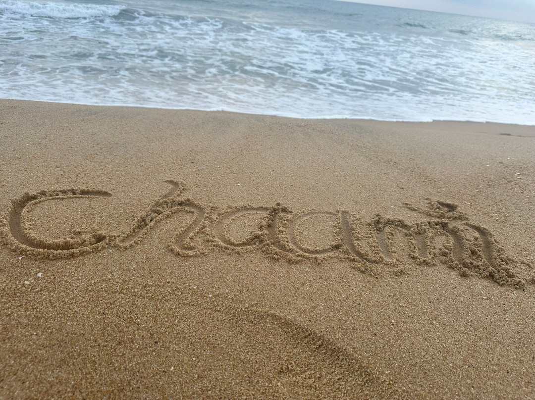 Sea View Resort主图