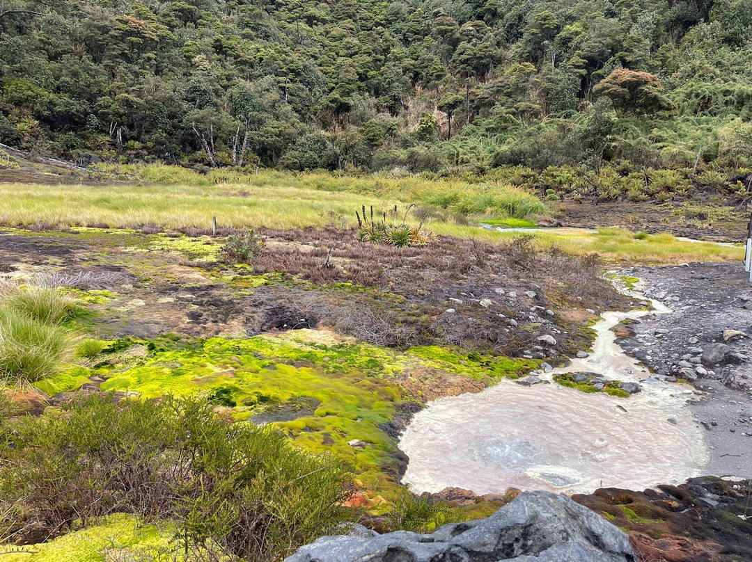Parque Nacional Natural Puracé-Purace必去景点