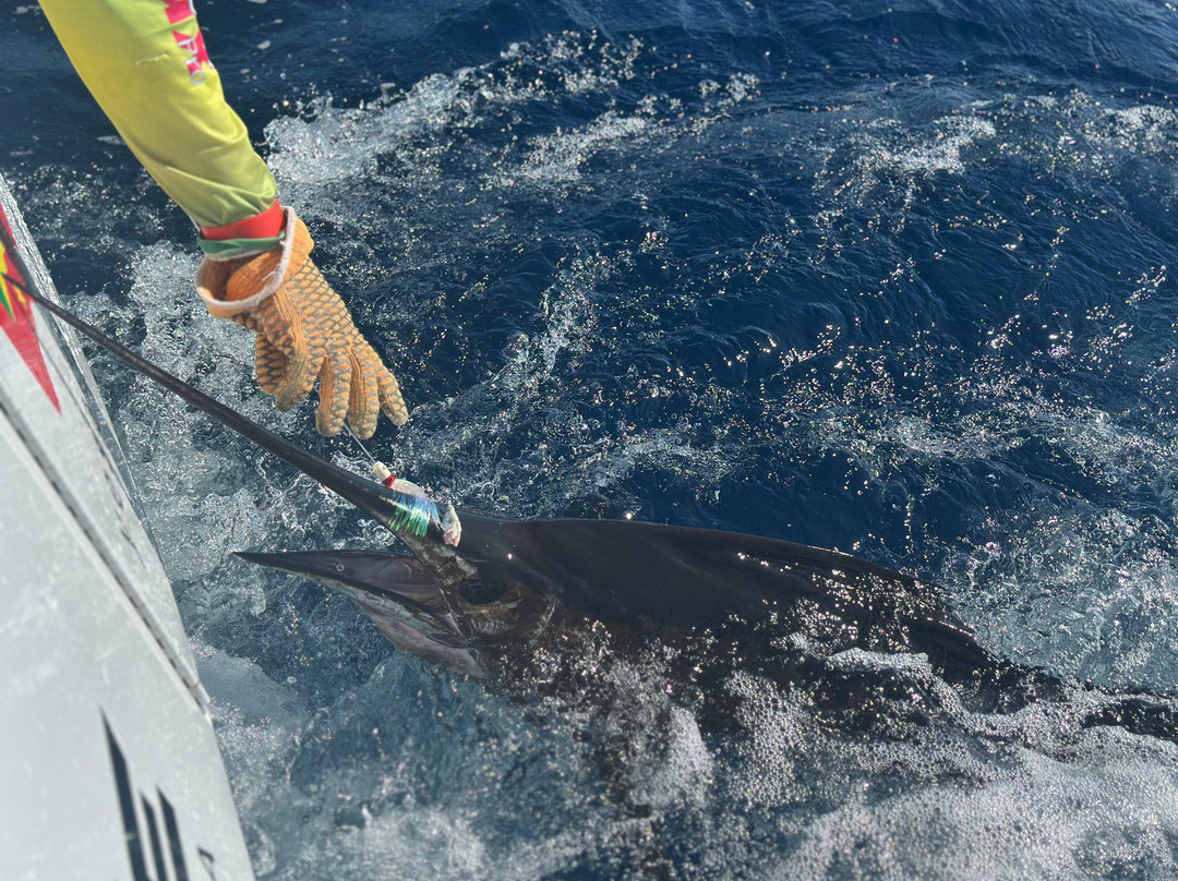 True Blue Sportfishing-St. George's必去景点