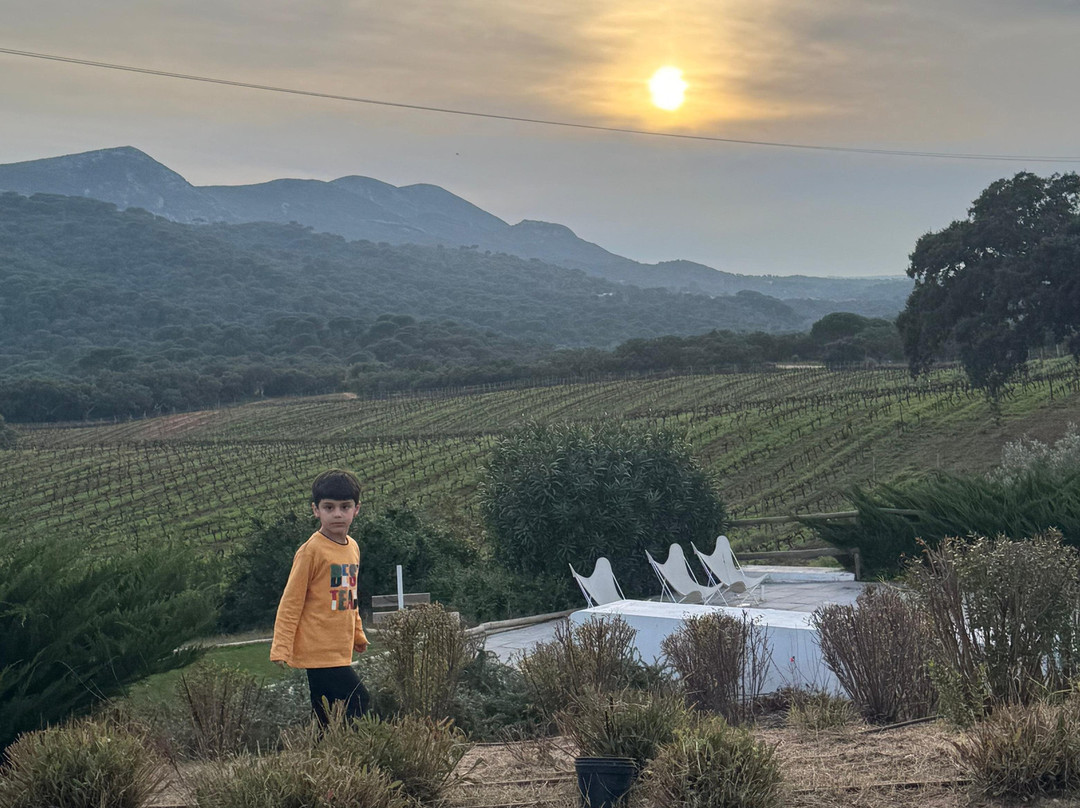 Hotel Casa Palmela主图