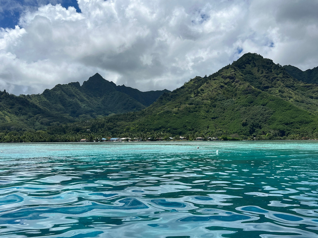 Moorea Underwater Experience
