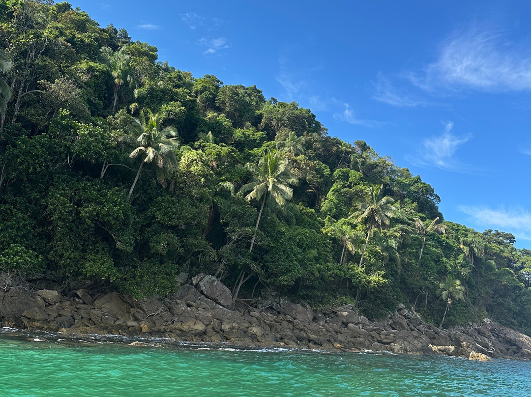 Passeio de Lancha em Boiçucanga Alma Surf Tour景点图片