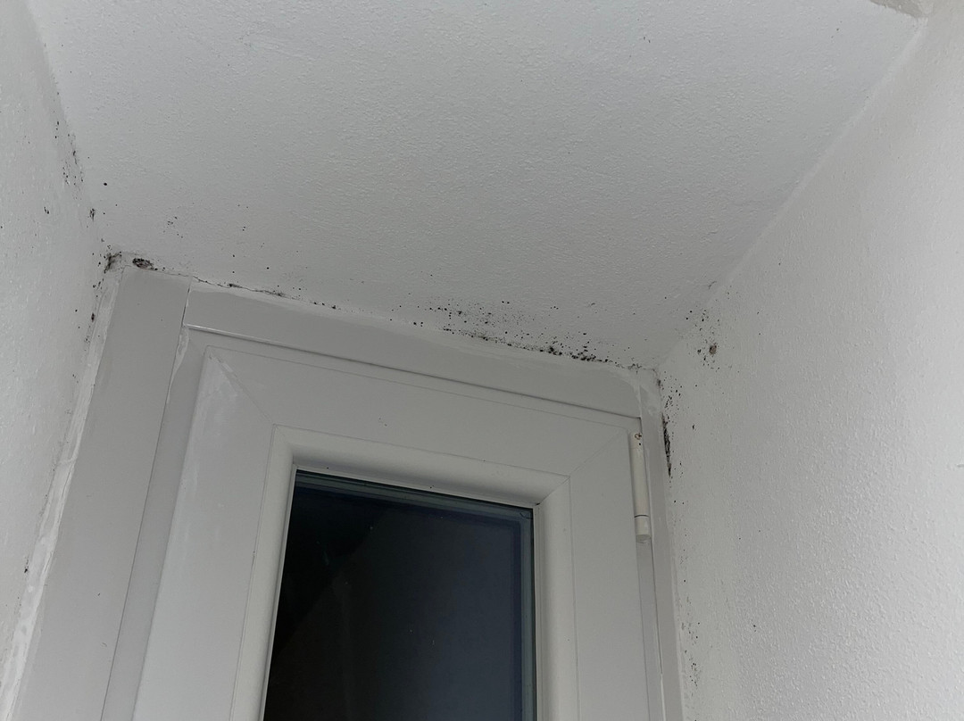 艾尔伯格帕拉堤索苏拉戈酒店主图