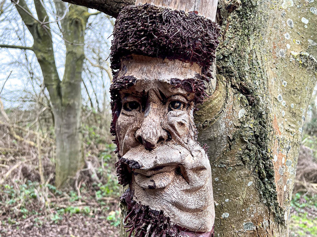 Thurrock Thameside Nature Park-Stanford-Le-Hope必去景点