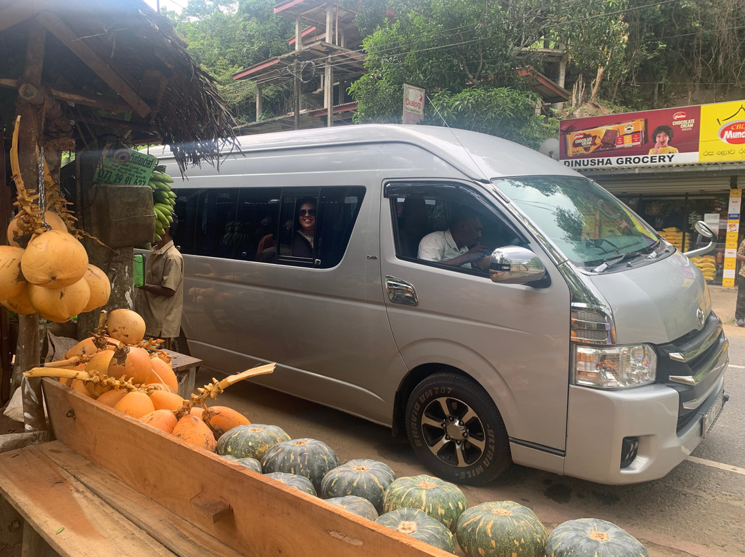 Revro Travels景点图片
