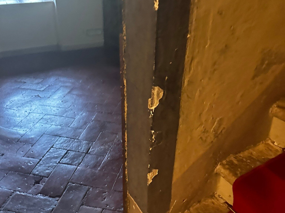 Castello di Magona主图