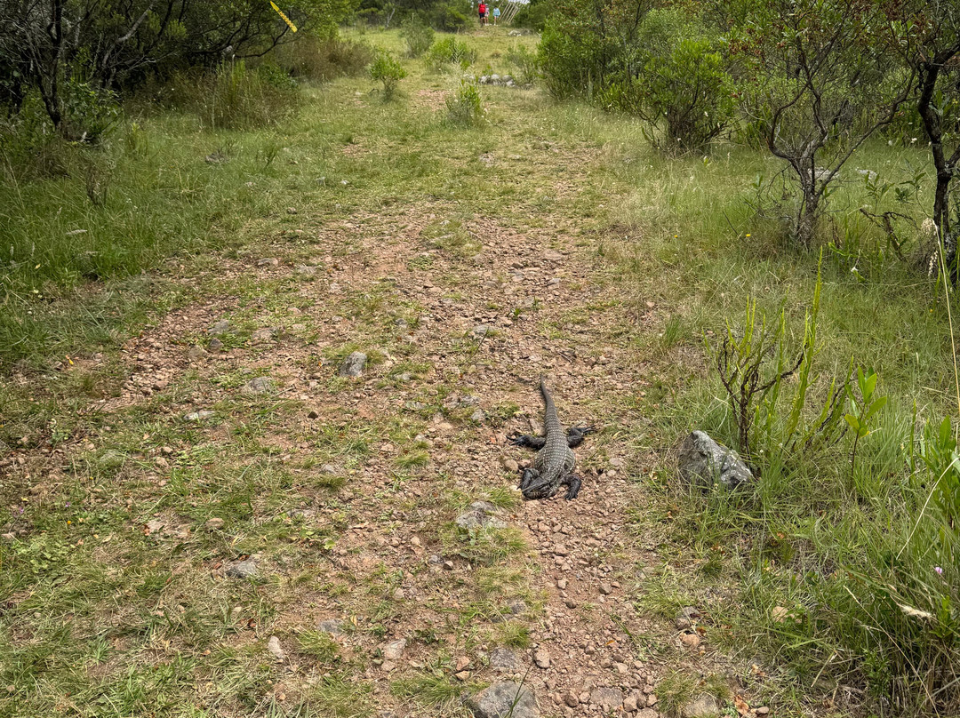 Paseo Sierra de Las Animas-Maldonado必去景点