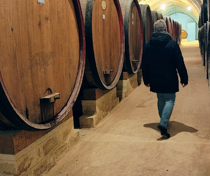 Terradamare Cooperativa Turistica a Palermo-巴勒莫必去景点