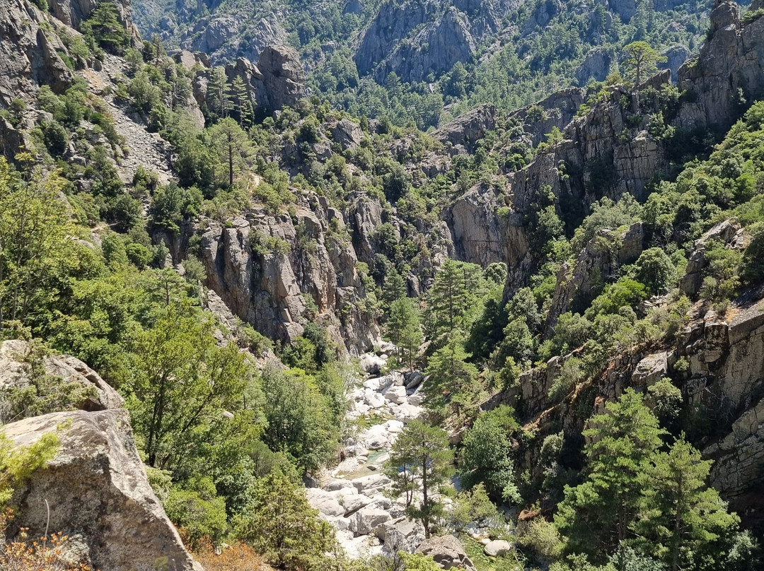 Gorges du Tavignano景点图片