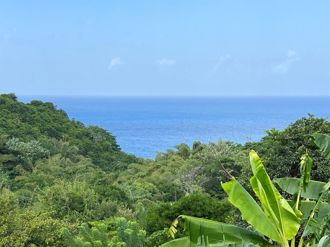 White Rock Bay Trail-Castara必去景点