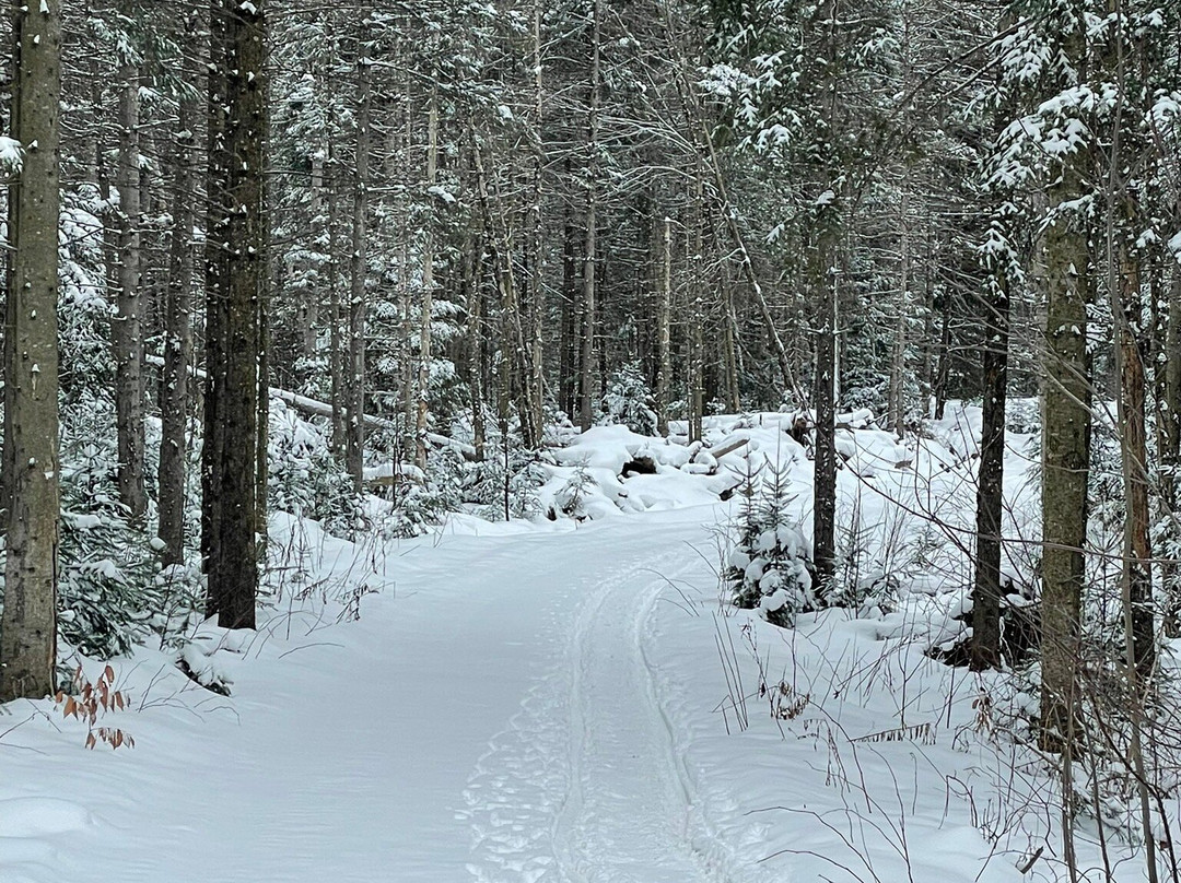 North Ridge Ranch - Dog Sledding景点图片