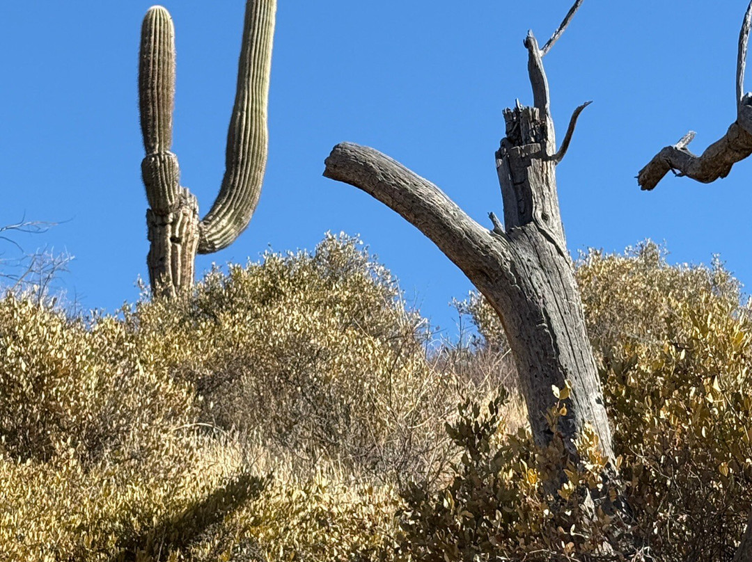 Blue Wash Trail-洞溪必去景点