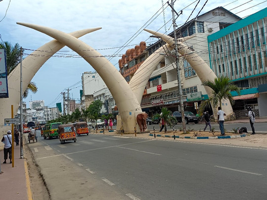 Wild Baobab Safaris Ltd2-蒙巴萨必去景点