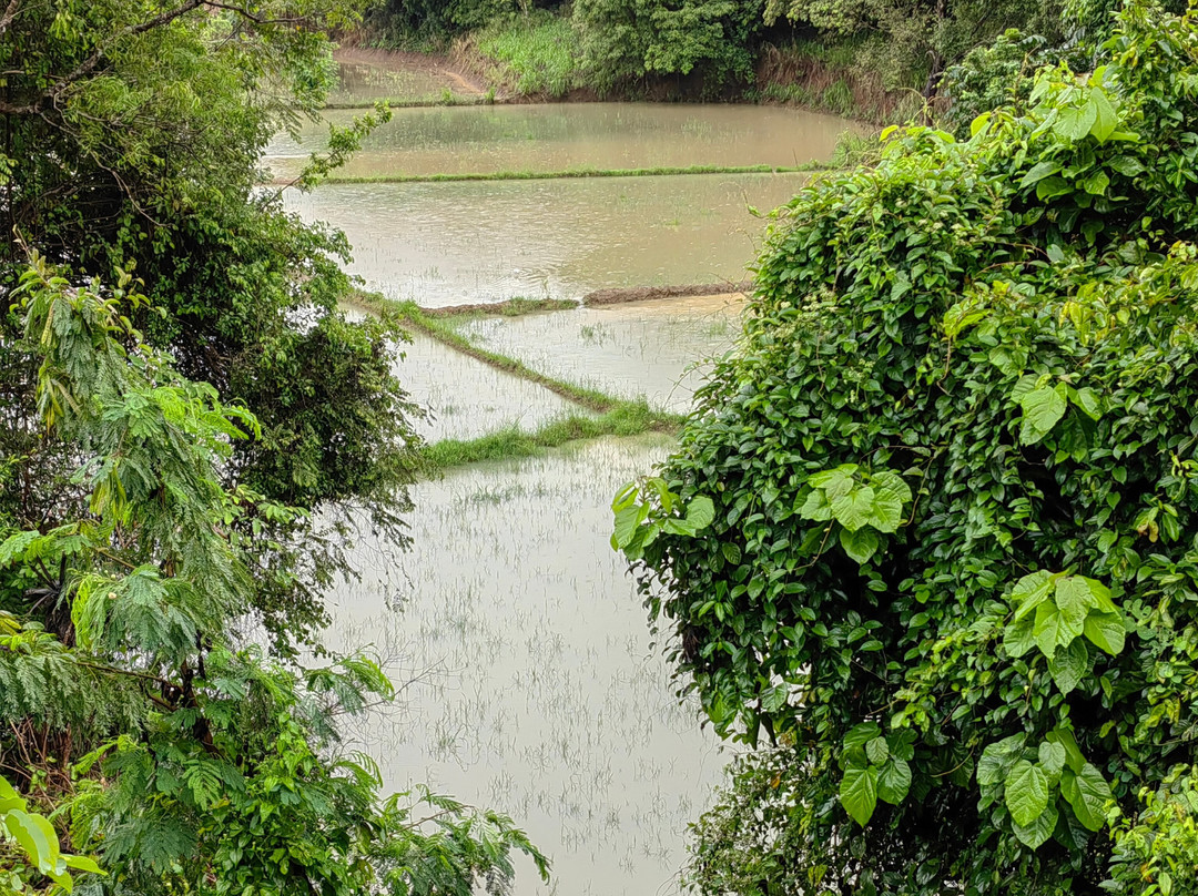 Siri Tours-Maha Induruwa必去景点