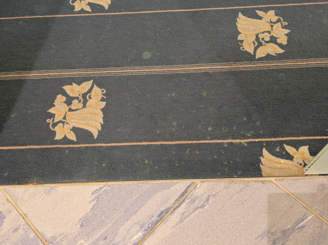 维达利亚海滨酒店主图