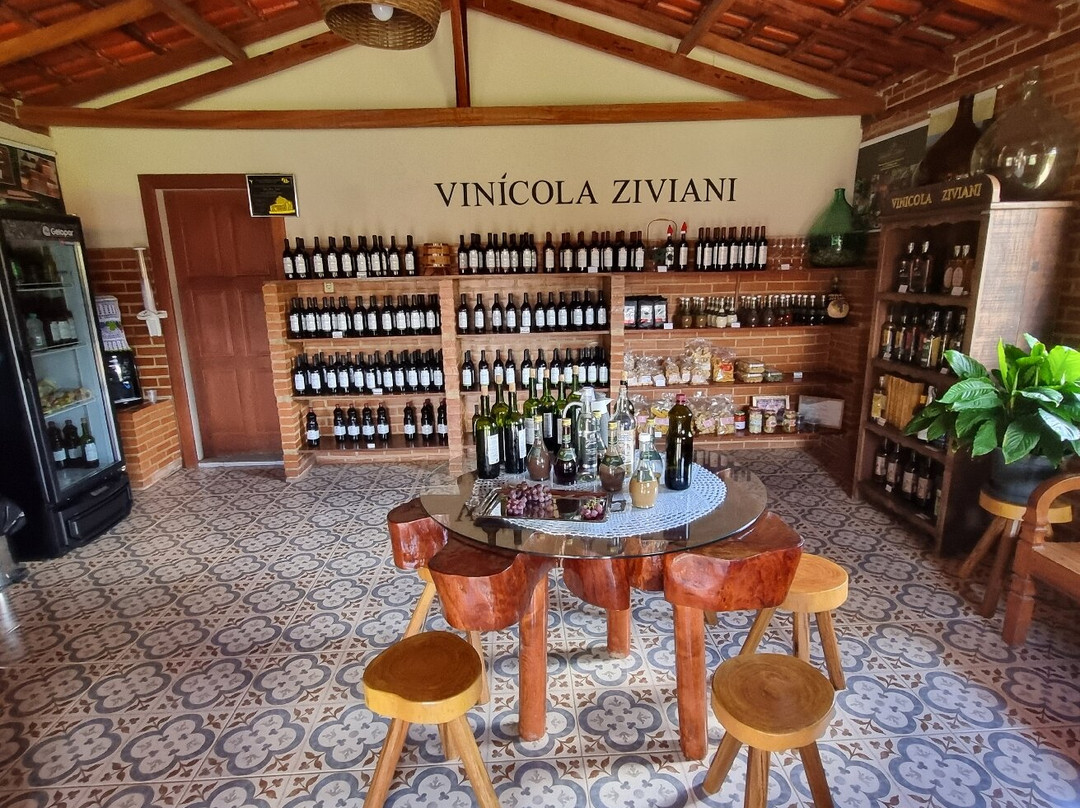Vinicola Ziviani景点图片