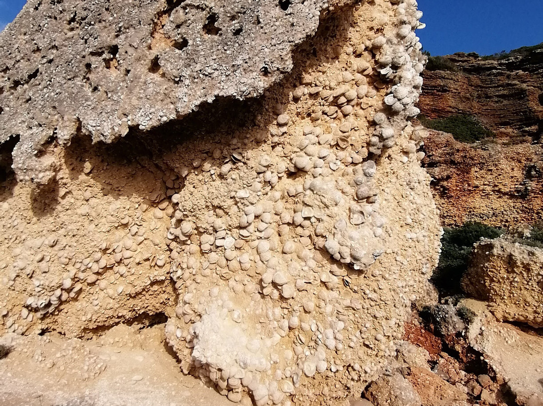 Calas de Roche景点图片