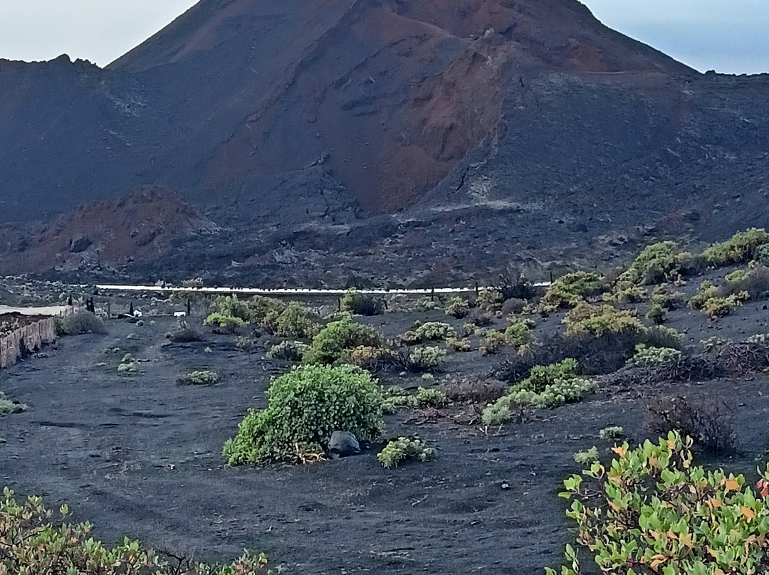 La Palma Outdoor景点图片