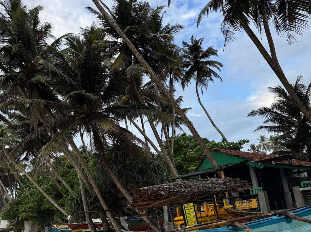 Sri Lanka driver booking & tours plc-Nawalapitiya必去景点