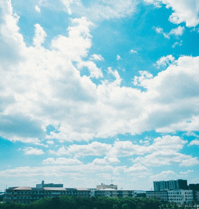 Takasu Kaihin Park-浦安市必去景点