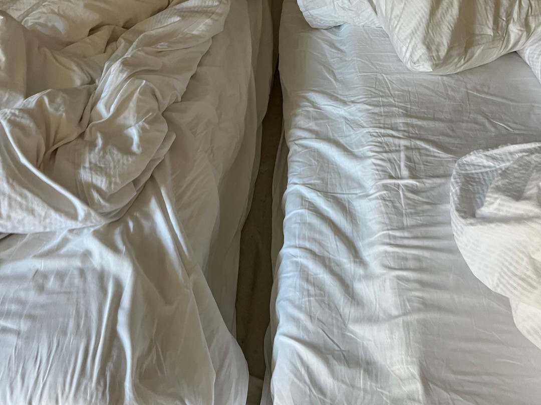 Landhaus Hopen Hotel主图