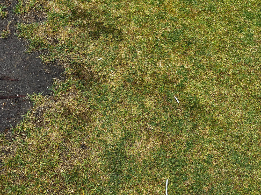 Metropolitan Golf Club-开普敦中心区必去景点