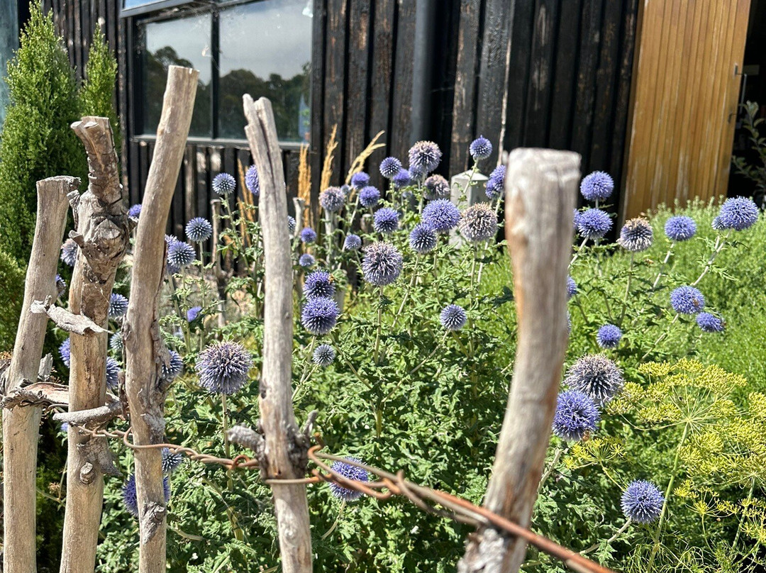 Black Barn Farm-Stanley必去景点