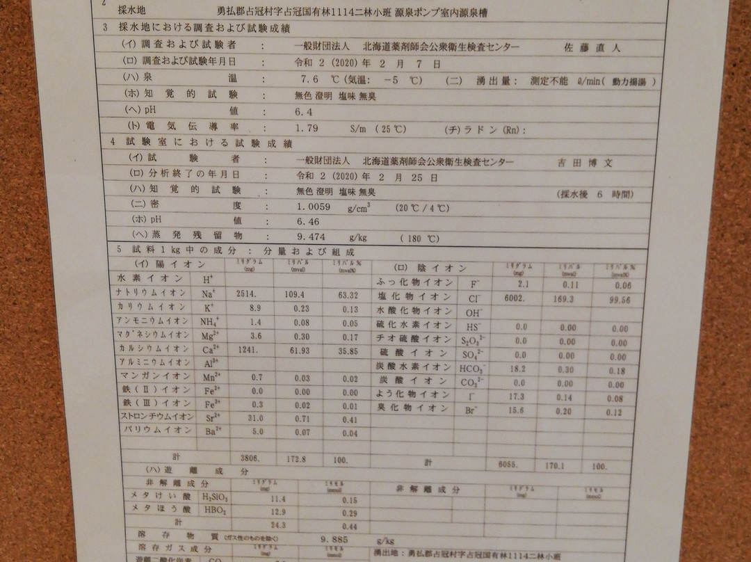 Yunosawa Onsen Mori no Shiki主图