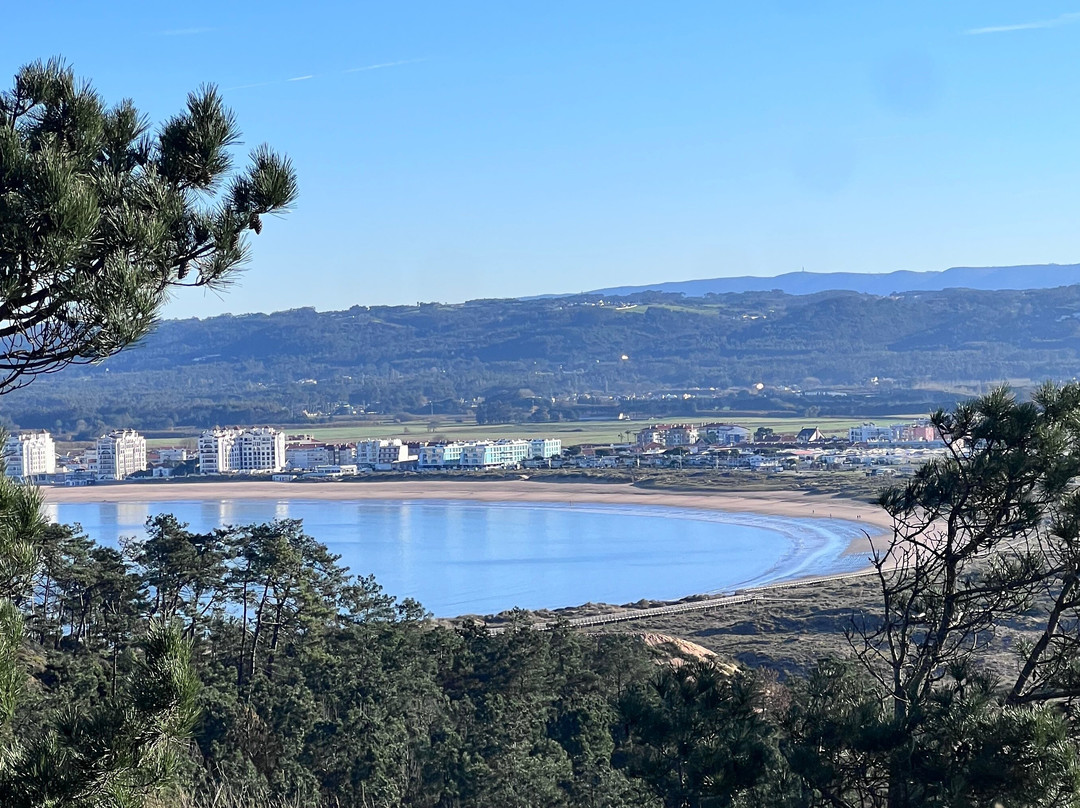Silver Coast Running Tours-Salir do Porto必去景点