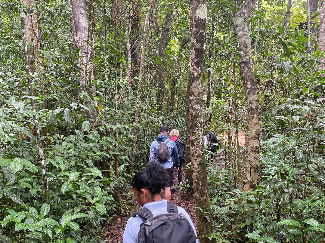 Madagascar Ideal Adventures景点图片