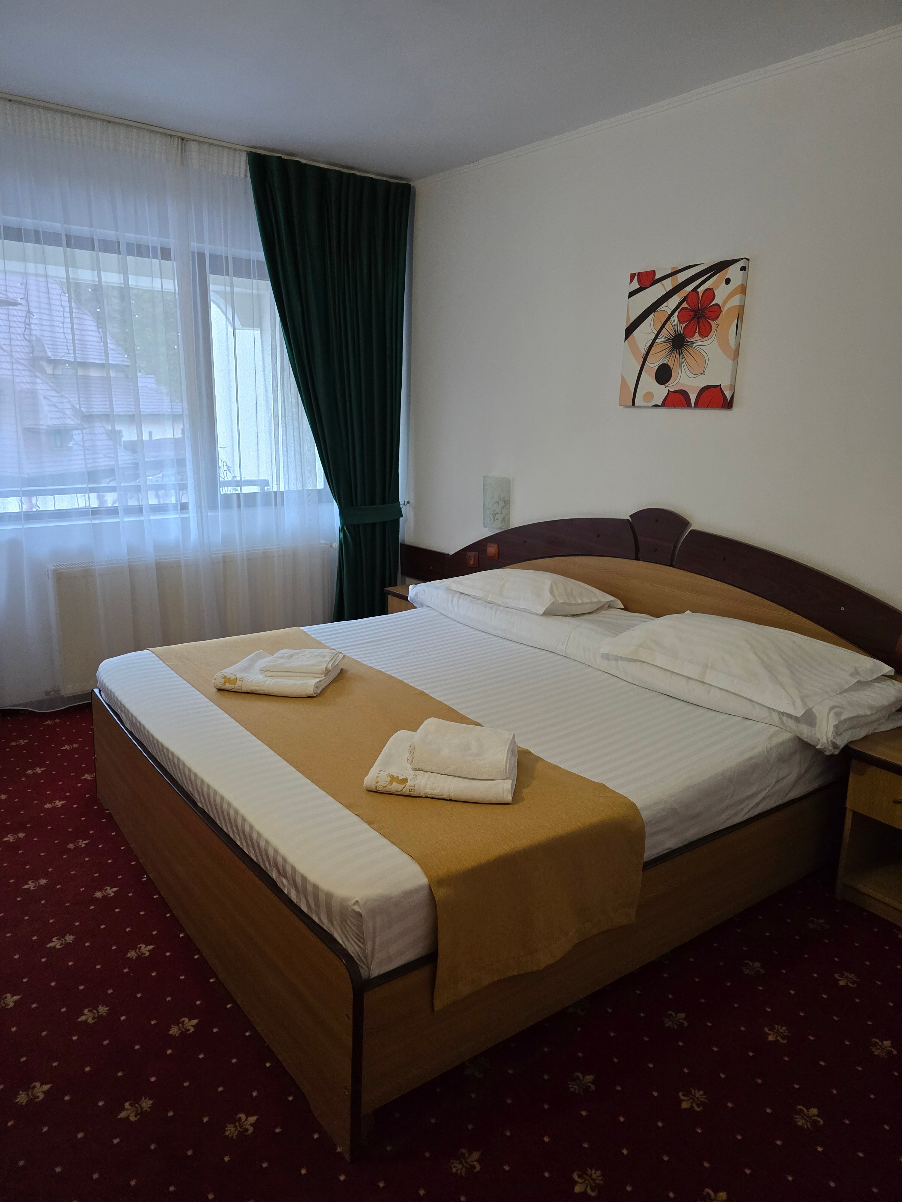 Hotel Dobru-客卧