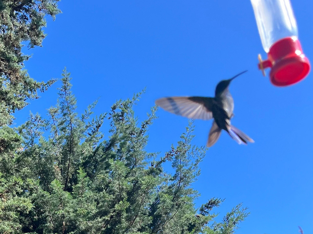 Quinta Galeon Lodge主图