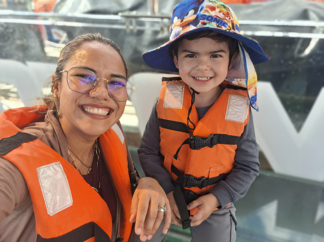 Ozeanity Experiences-卡波圣卢卡斯必去景点