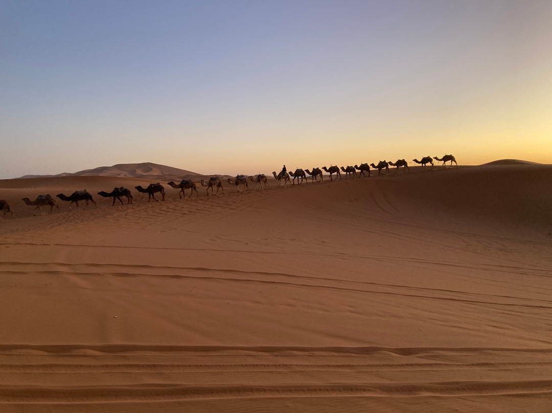 Morocco Global Adventures-卡萨布兰卡必去景点