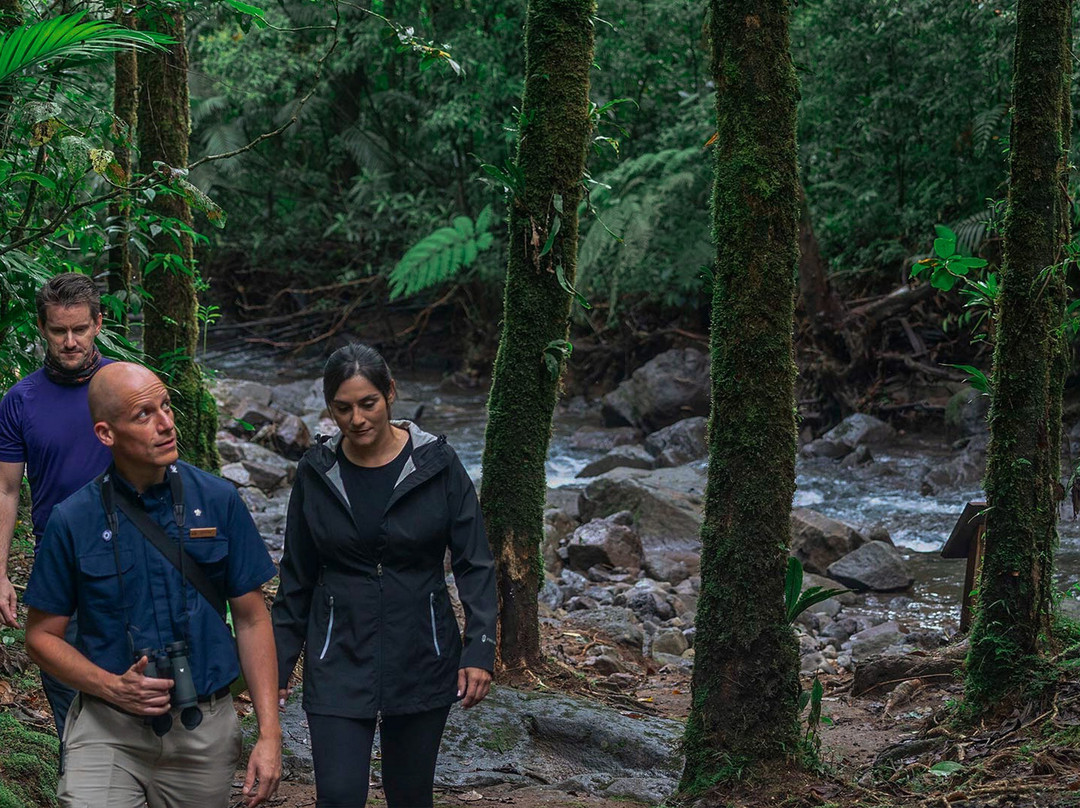 El Silencio Lodge & Spa主图