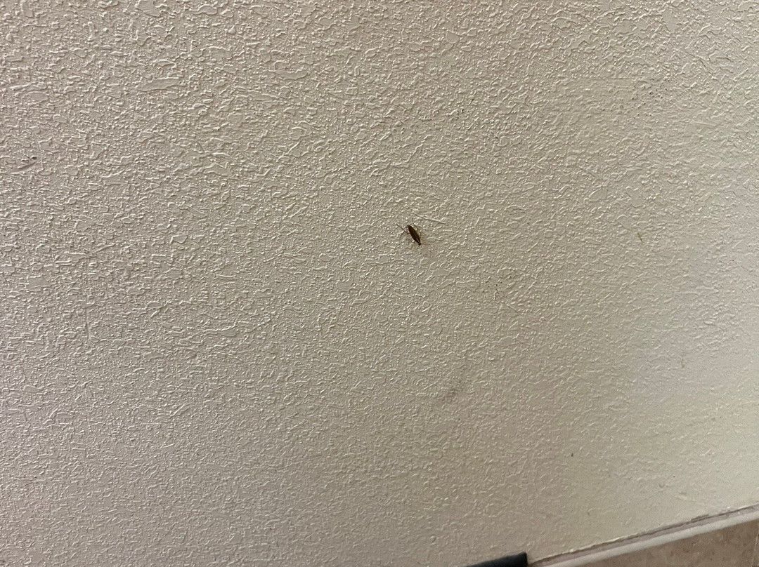 Hampton Inn Aiken主图