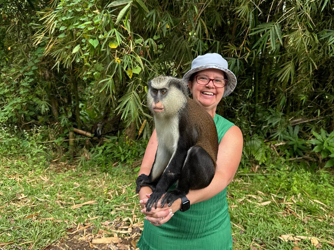 JnJ Tours-St. George's必去景点