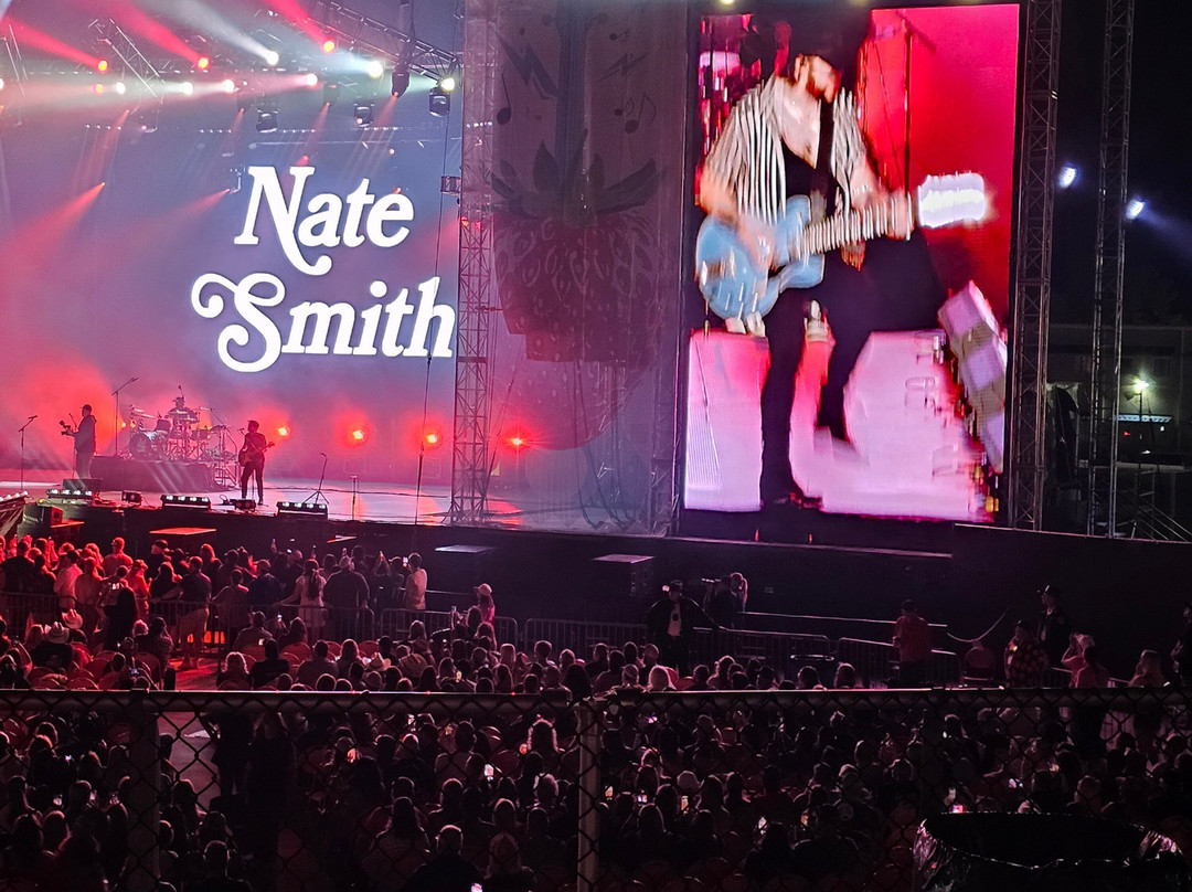 Florida Strawberry Festival-普兰特城必去景点