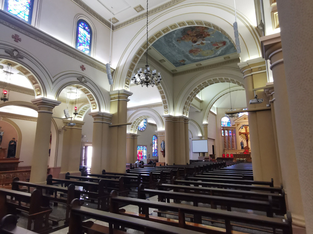 Catedral São José景点图片