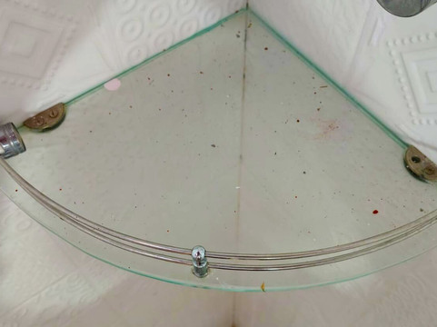 The Sattva Nature Retreat主图